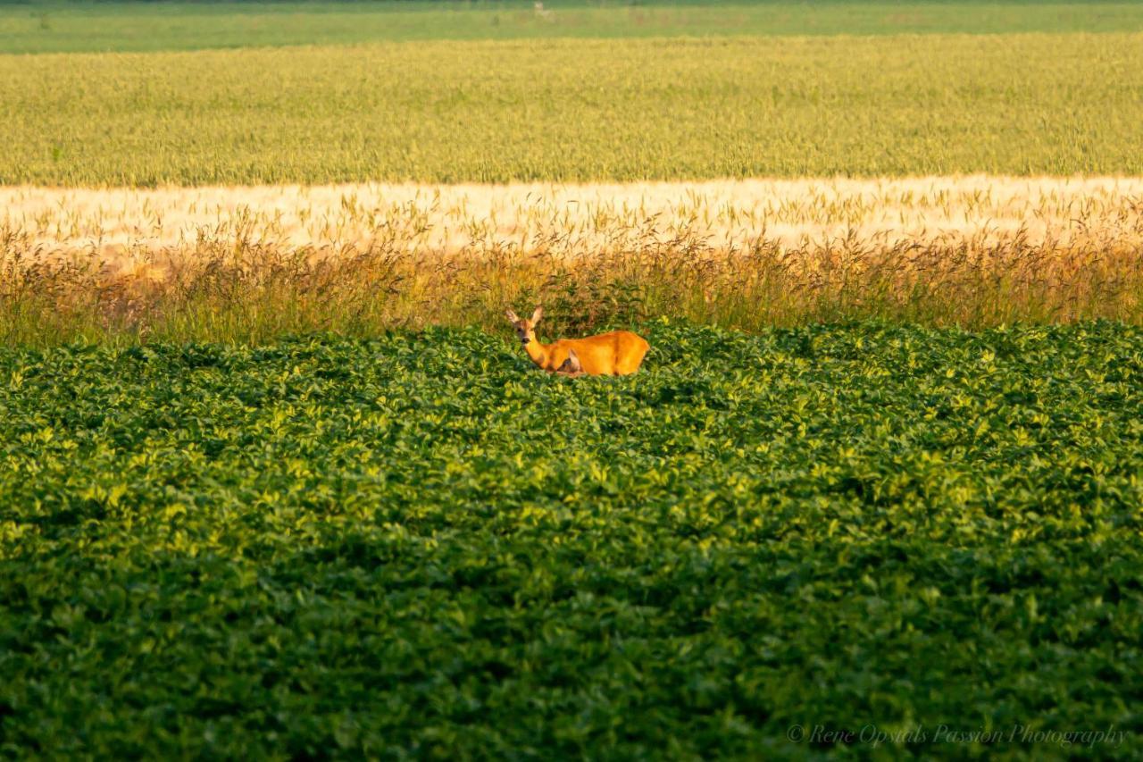 Slaaphutje Buitenwedde Westerwolde