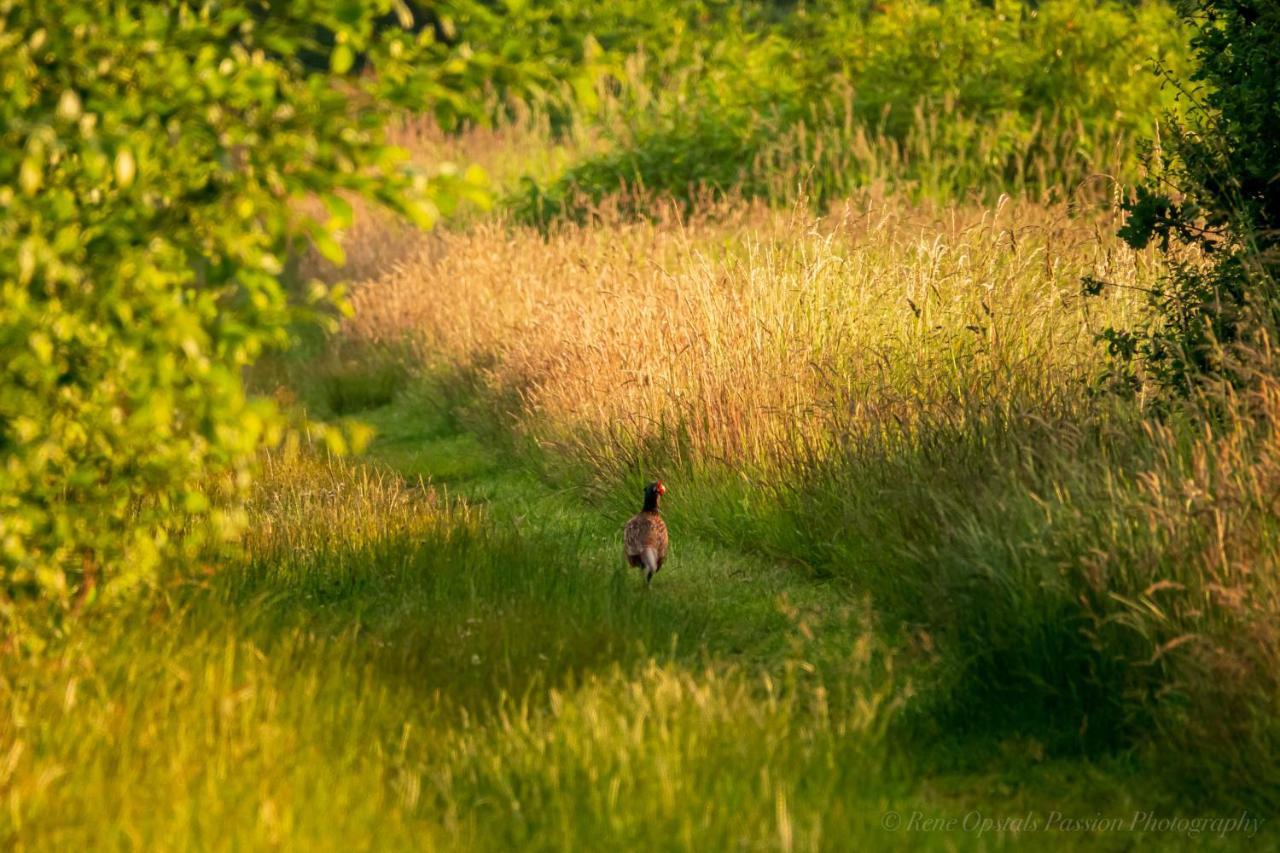 Slaaphutje Buitenwedde Westerwolde Campsite Wedde